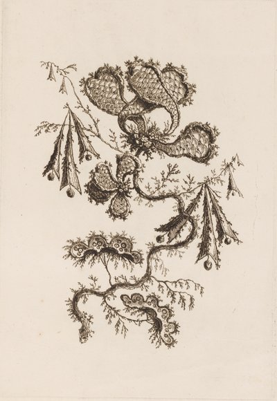 Flower Branch, från "Fleures Persannes" av Jean Baptiste Pillement