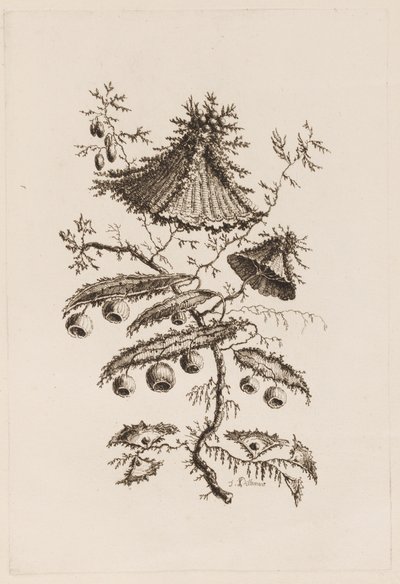 Flower Branch, från "Fleures Persannes" av Jean Baptiste Pillement