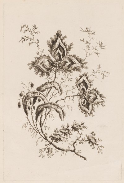 Flower Branch, från "Fleures Persannes" av Jean Baptiste Pillement