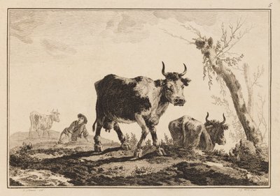 Plåt 5, "Anteckningsbok med sex ark oxar och kor" av Jean Baptiste Pillement
