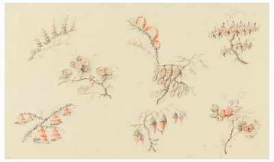 Sprayer av sju idealiska blommor och av en nästan naturalistisk blomma av Jean Baptiste Pillement