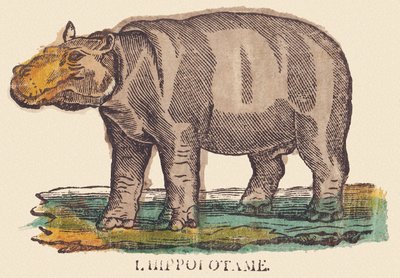Flodhästen, ca 1840-1852 (litografi) av Jean Baptiste Thiebault