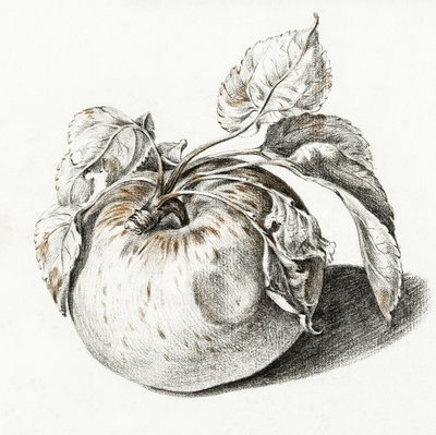 Apple av Jean Bernard