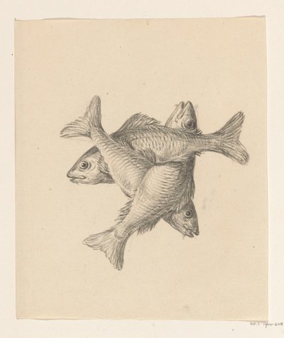 Tre korsvis ordnade fiskar av Jean Bernard