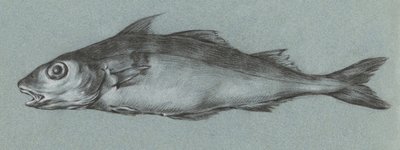 Fish Green (1775–1833) av Jean Bernard