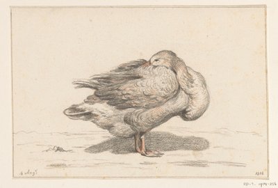 Gans av Jean Bernard