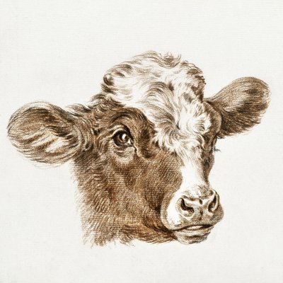 En kos huvud av Jean Bernard