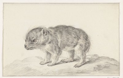 Ung björn (?) av Jean Bernard