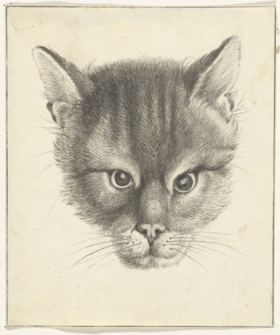 Katthuvud, framifrån av Jean Bernard