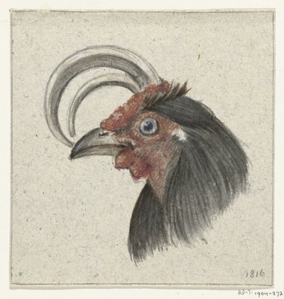 Huvud av en tupp av Jean Bernard