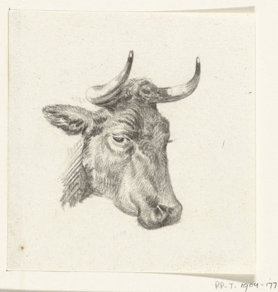 Huvudet av en ko av Jean Bernard