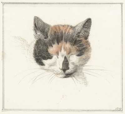 Huvudet av en calico-katt, framifrån, med slutna ögon av Jean Bernard