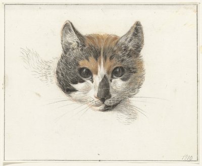 Huvudet av en calico-katt, framifrån, med öppna ögon av Jean Bernard