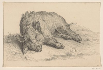 Liggande vildsvin av Jean Bernard