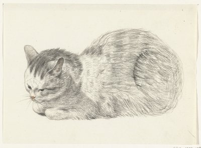 Liggande katt, till vänster av Jean Bernard