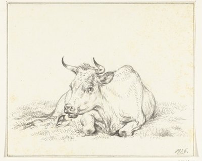 Liggande ko, framifrån av Jean Bernard