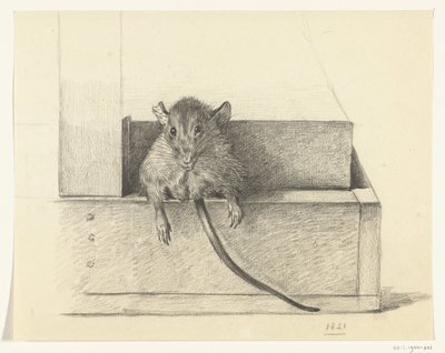 Mus (i en fälla?) av Jean Bernard