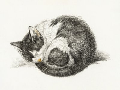 En ihoprullad, liggande, sovande katt (1825) av Jean Bernard