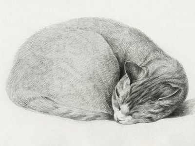 En hopkurad, sovande katt av Jean Bernard (1775–1883) av Jean Bernard