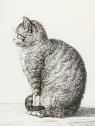 Sittande katt (1815) av Jean Bernard
