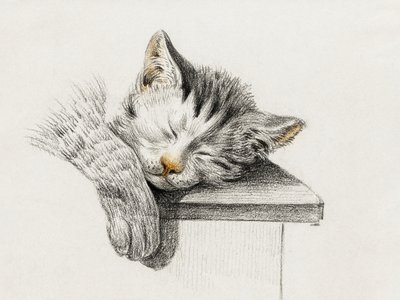 Skiss av en sovande katt av Jean Bernard