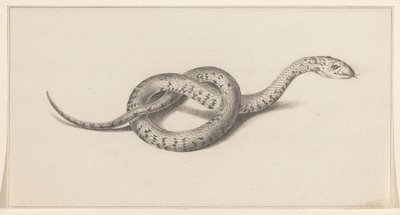 Slang av Jean Bernard