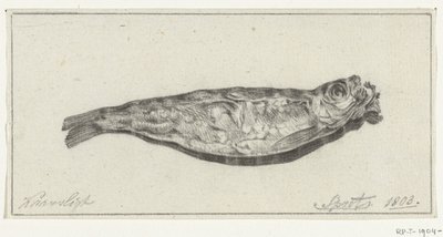 Skarpsill vid levande ljus av Jean Bernard