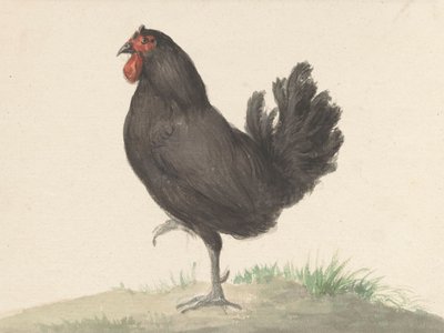 Den stående svarta hönan (1775–1833) av Jean Bernard