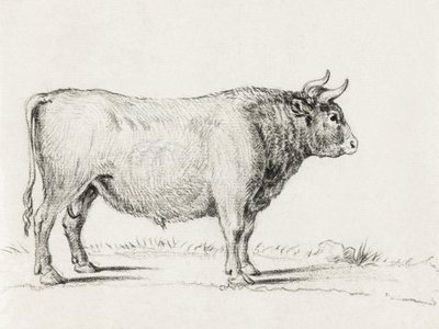 Stående tjur av Jean Bernard