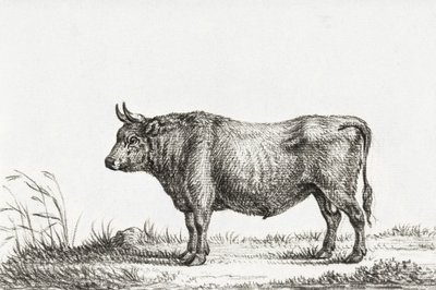 Stående tjur av Jean Bernard