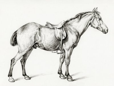 Stående häst av Jean Bernard (1775–1883) av Jean Bernard