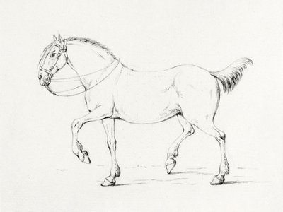Stepping Horse (1775–1833) av Jean Bernard