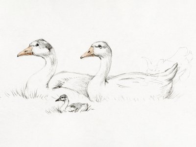 Två gäss med en unge (1775–1833) av Jean Bernard