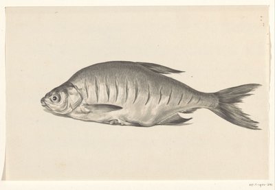 Fisk, liggande till vänster, med skåror av Jean Bernard