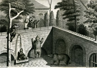 Björngömsle i en djurpark av Jean-Charles Werner