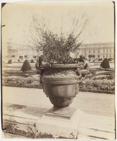 Versailles, vas från Ballin av Jean Eugène Auguste Atget