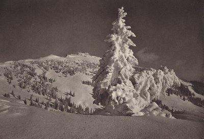 Rigi Kaltbad, Skigelande och Rigi Kulm (s/v foto) av Jean Gaberell