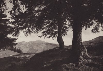 Rigi Staffel, gå nära Staffel (s/v foto) av Jean Gaberell