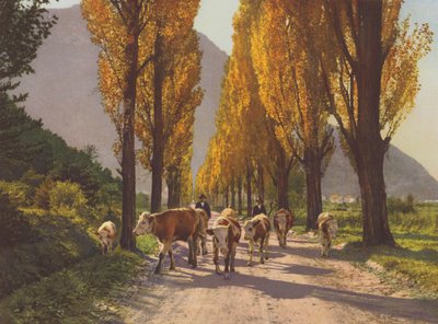 Schweiz: Rhônedalen nära Visp (färgfoto) av Jean Gaberell
