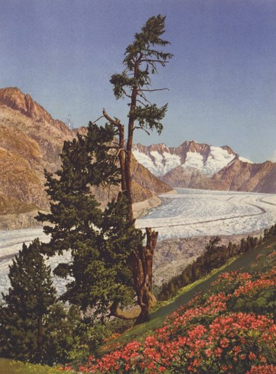 Schweiz: Utsikt över Aletschglaciären och Fiescherhorner av Jean Gaberell