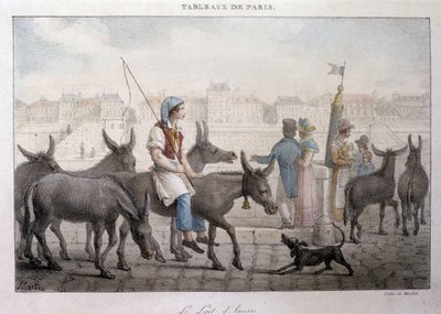 Tidigare gatuhandel i Paris: köpman av åsnemjölk (Ane dans Paris) - Gravyr av Jean Henry Marlet (1771-1847) i "" Les Tableaux de Paris", serie med 72 tryck, slutet av 1800-talet av Jean Henri Marlet
