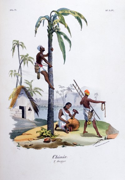 Chanar, 1828 av Jean Henri Marlet