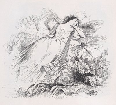 Sylfen från The Complete Works of Béranger, 1836. av Jean Ignace Isidore Gérard