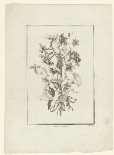 Bukett av påsklilja och bindweed Narcissus, Volubilis (titel på objekt) IIe Cahier de Bouquets (serietitel) av Jean Jacques Avril (I)
