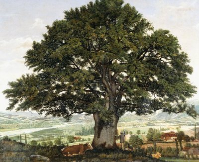 Slätten i Annecy-Chene, veteranen från Alperna, av Jean Jacques Rousseau