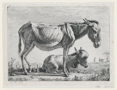 Jenny med sitt föl, 1797. av Jean Jacques de Boissieu