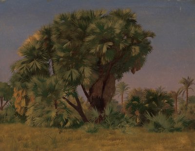 Studie av palmer, troligen 1868. av Jean Leon Gerome