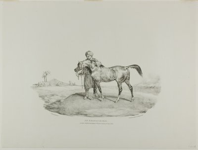 En arabhäst, plansch 8 ur Olika motiv tecknade ur livet och på sten (Den engelska sviten) av Jean Louis André Théodore Géricault
