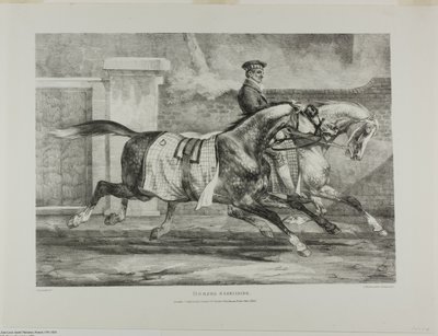 Hästar i träning, plansch 6 från olika motiv tecknade ur livet och på sten (The English Suite) av Jean Louis André Théodore Géricault