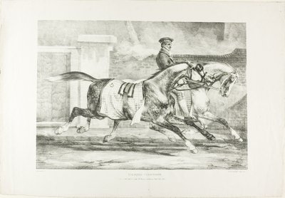 Hästar i träning, plansch 6 från Olika motiv tecknade efter livet på sten av Jean Louis André Théodore Géricault
